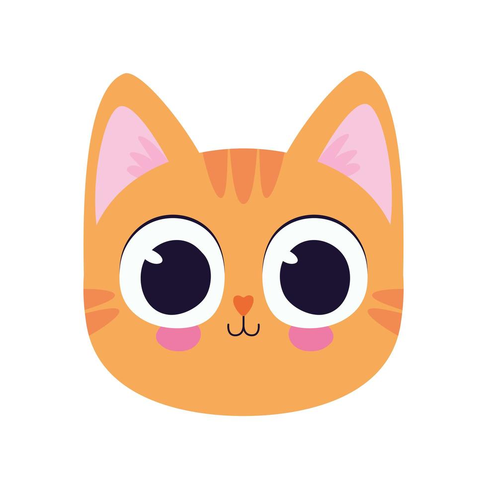 cute kitty in a white background vector