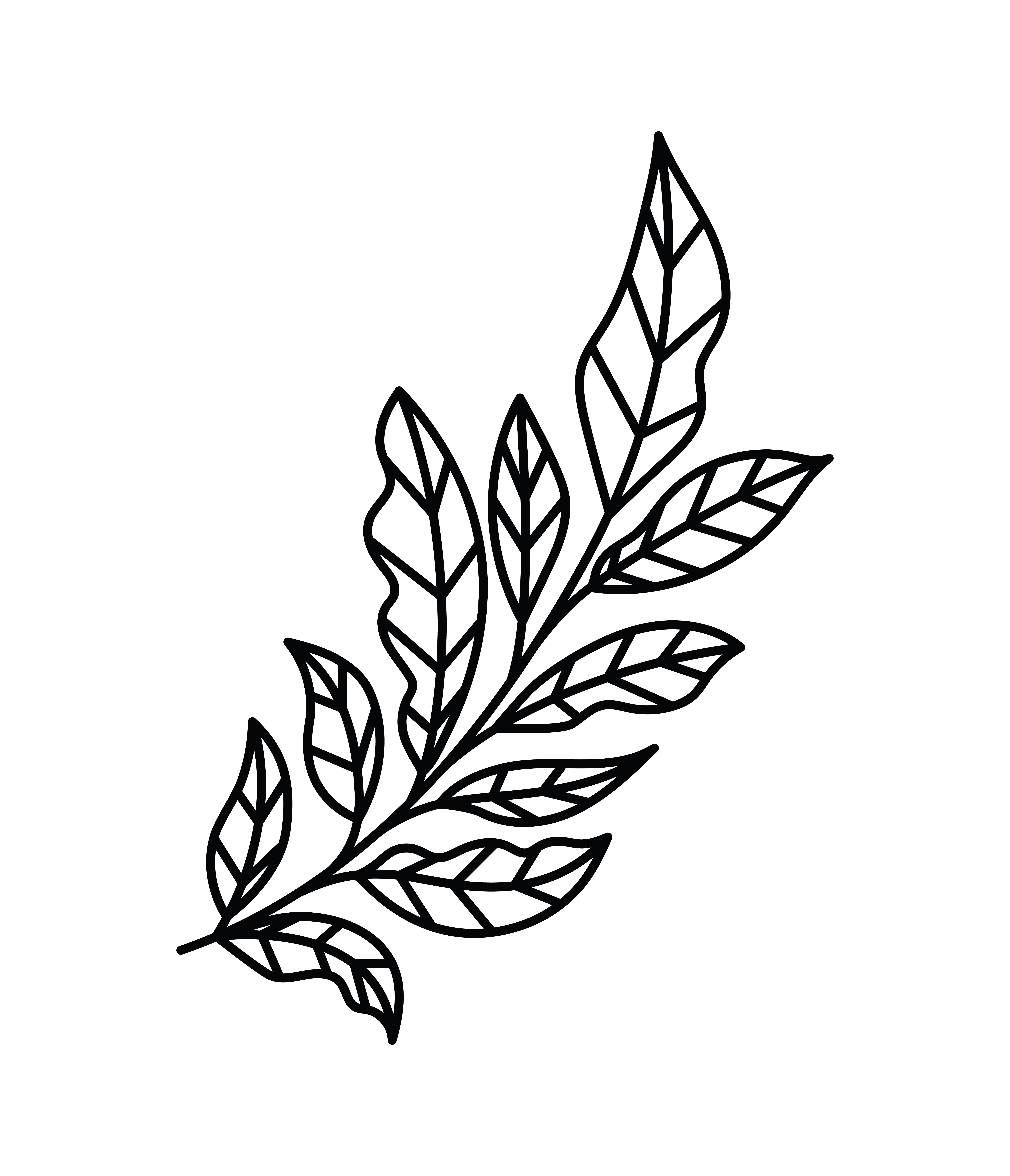 minimalist tattoo branch foliage line art herb and leaves vector  illustration Stock Vector Image  Art  Alamy