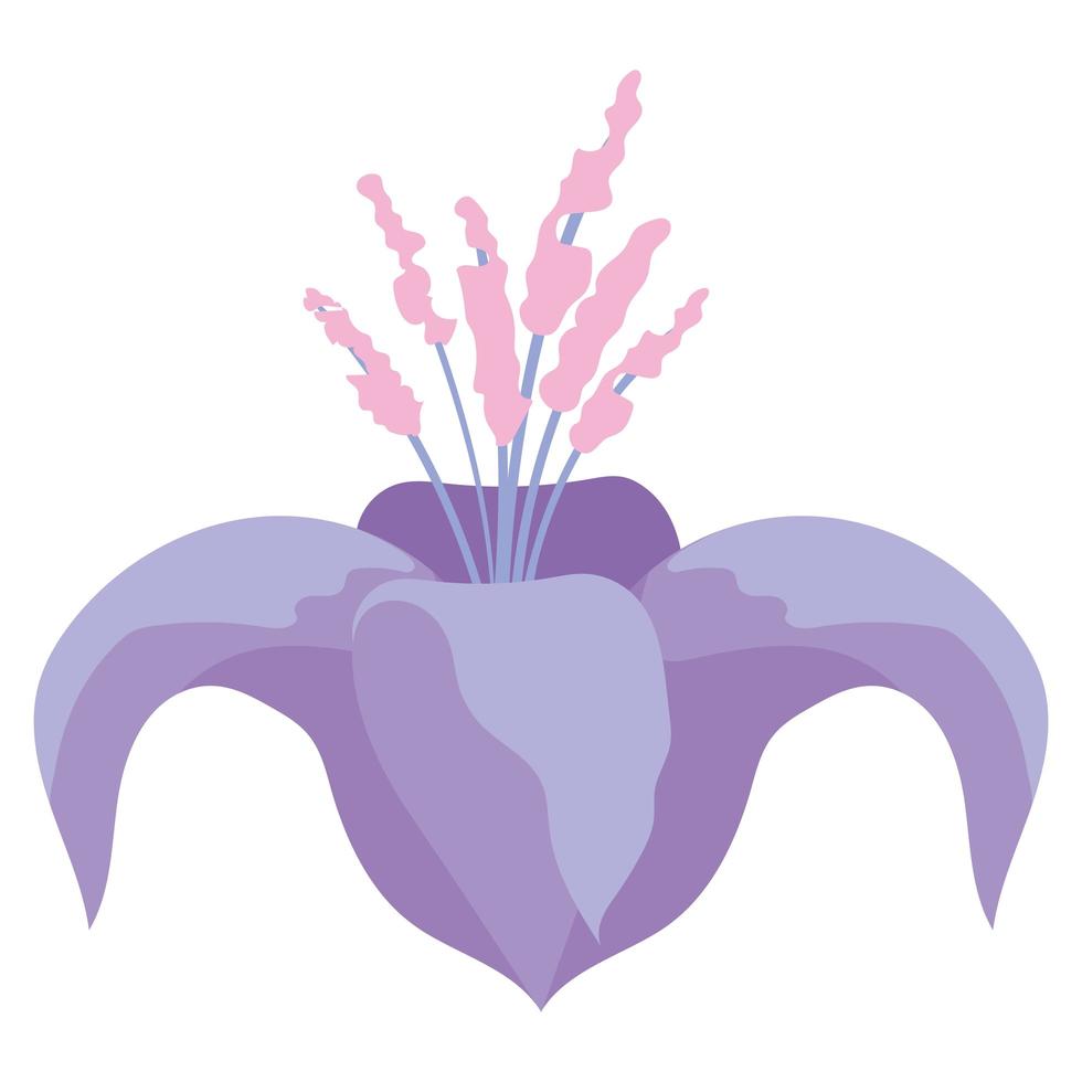 flower with a purple color vector