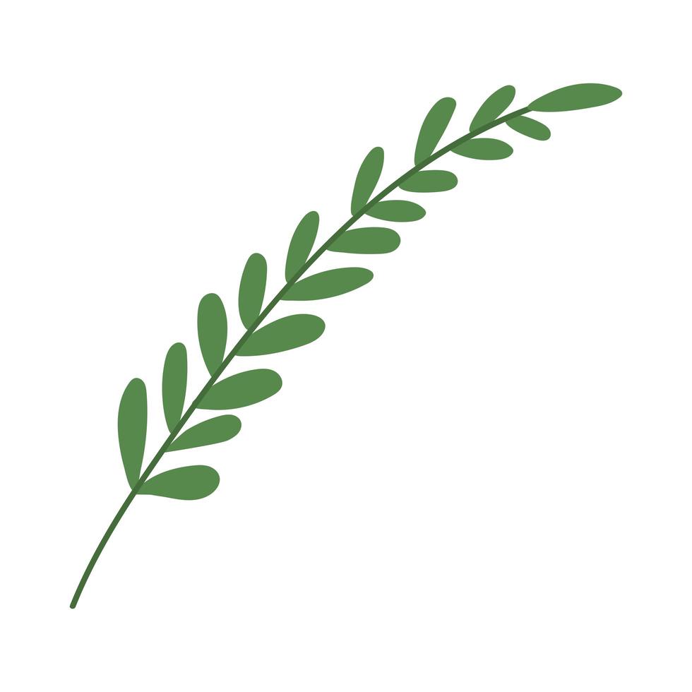 plant with many green leaves vector