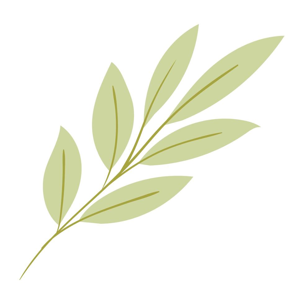 leaves of green color with stem vector