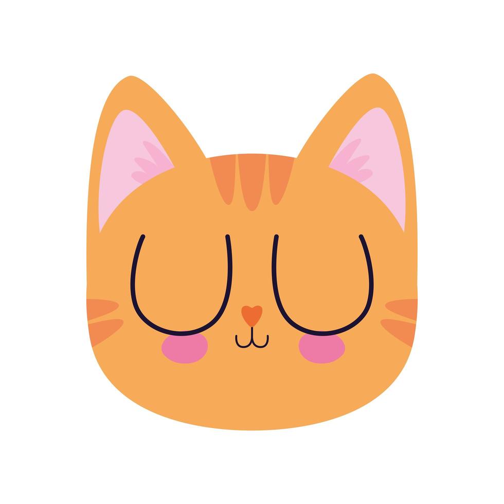 cute kitty on a white background vector