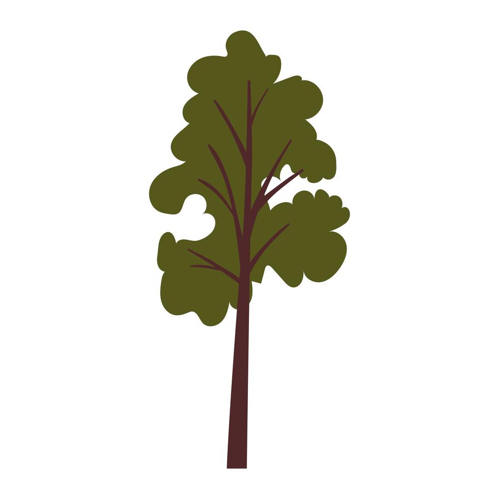 árbol sobre un fondo blanco vector