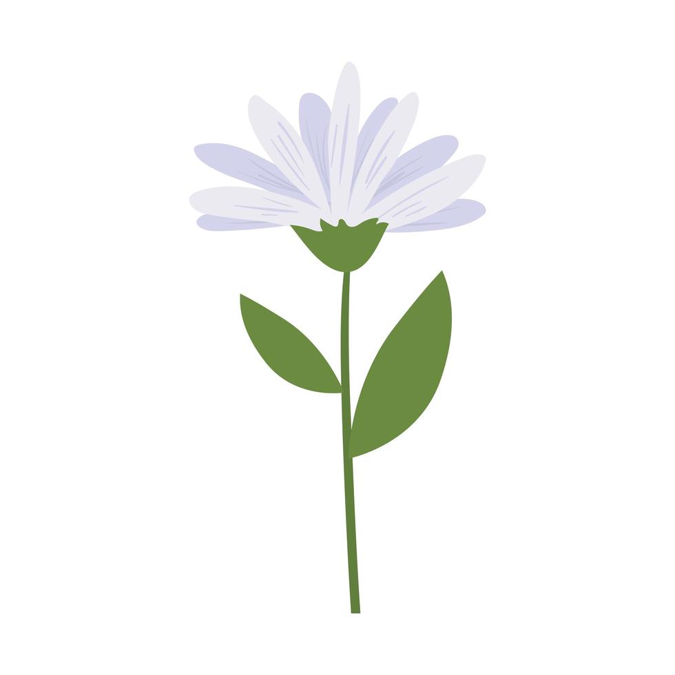 flower with a white color vector
