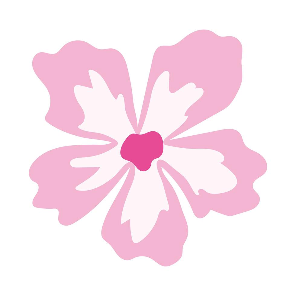 sunflower with a pink color vector