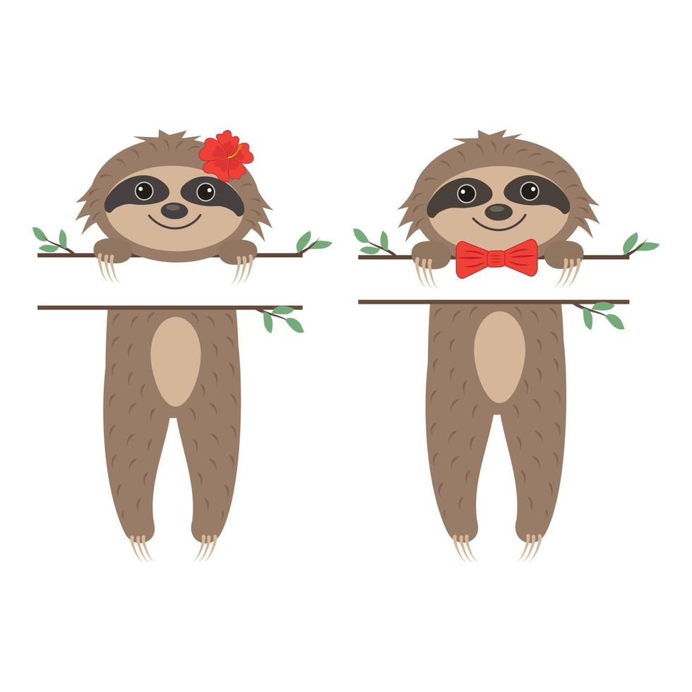 Cute sloth character boy and girl, with text separator, color isolated vector illustration in cartoon style