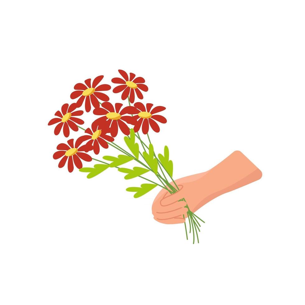 Bouquet of daisies in hand, vector clipart in flat style isolated, cartoon