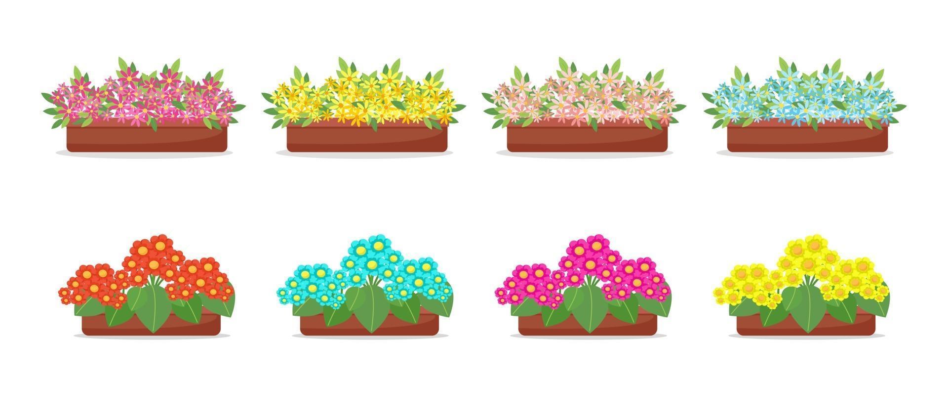 Flowers in pots in flat style set, big collection of spring flowers in boxes, vectors isolated