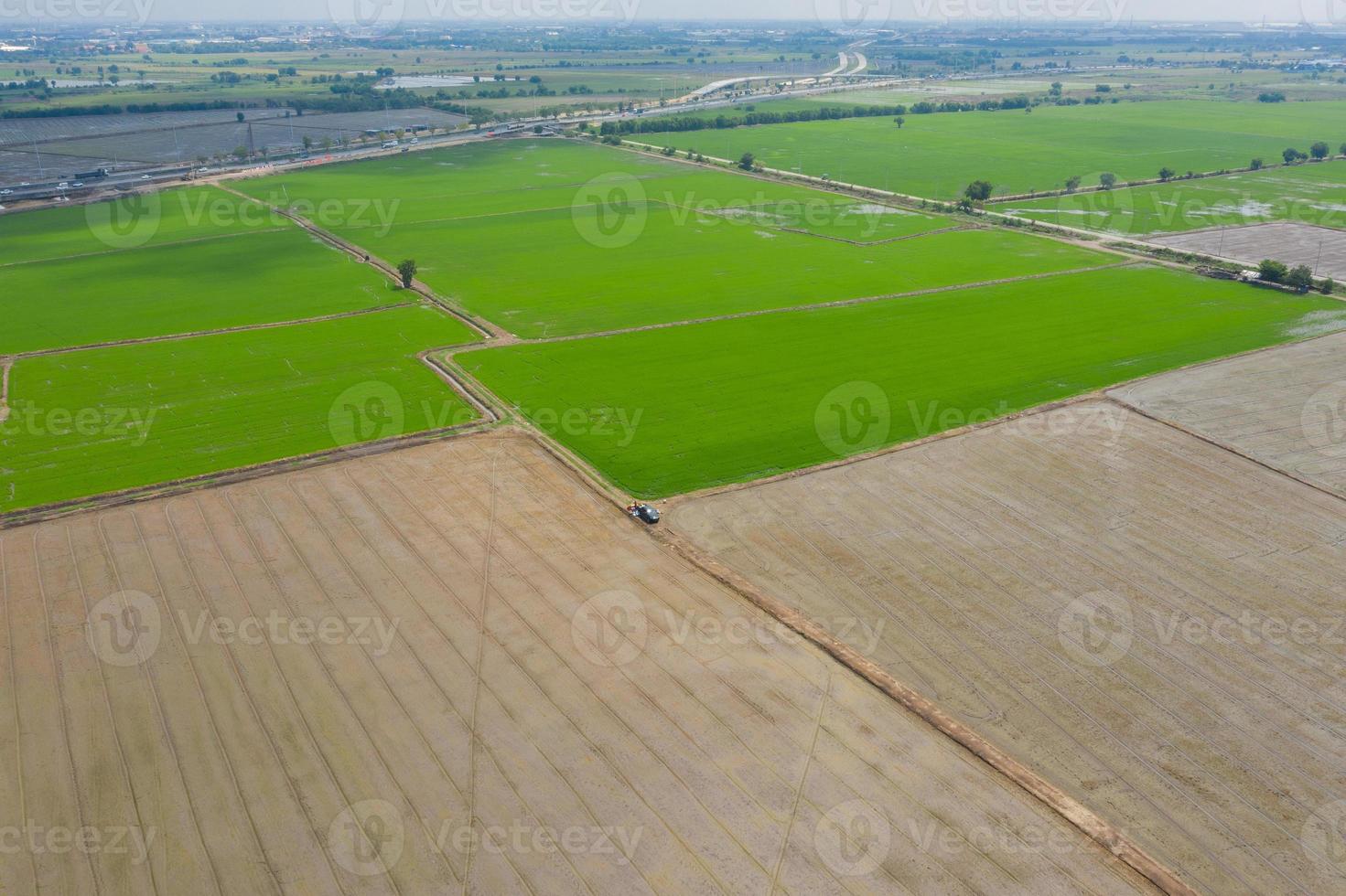 Aerial view from flying drone of field rice with landscape green pattern nature background, top view field rice photo