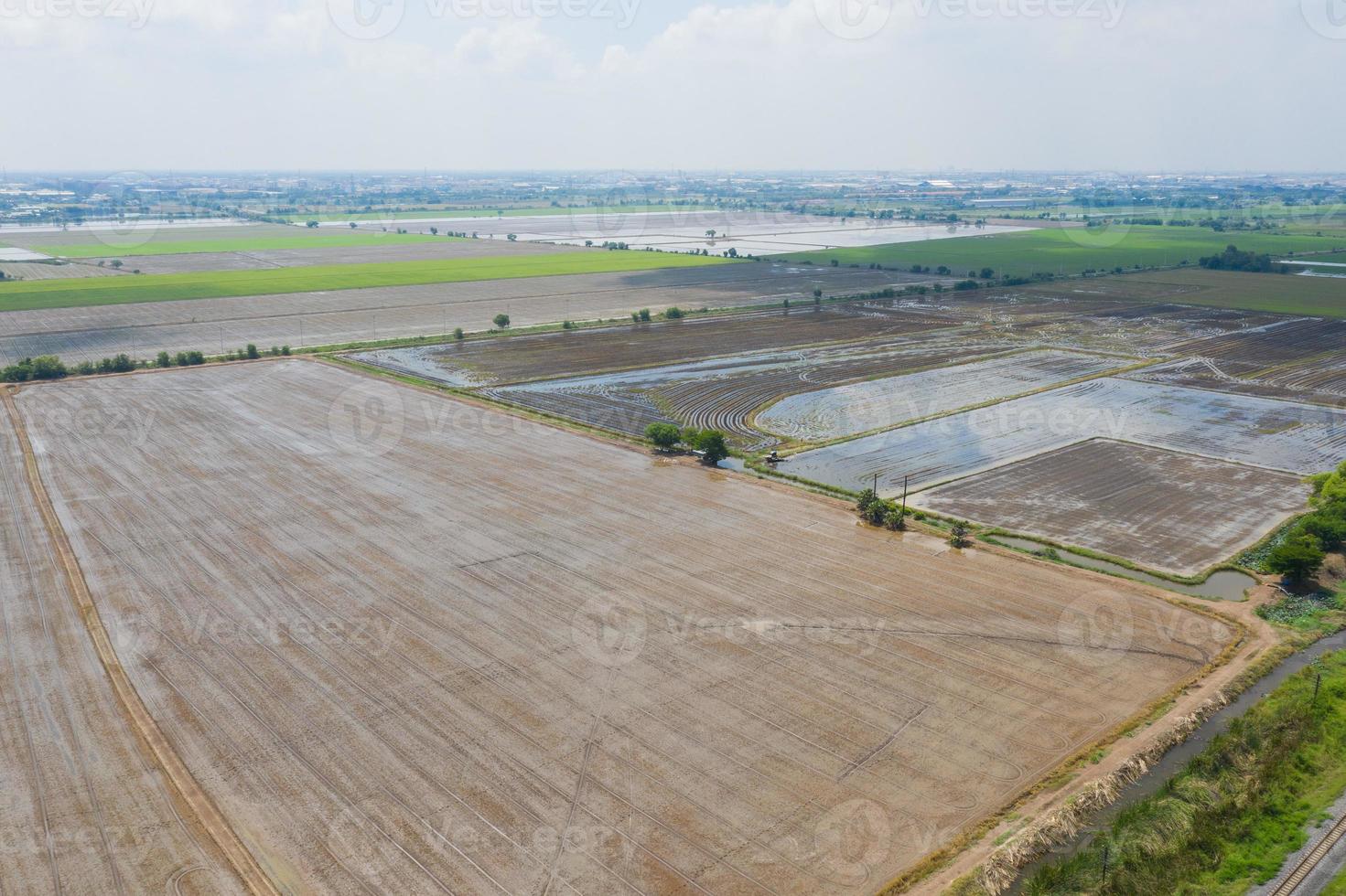 Aerial view from flying drone of field rice with landscape green pattern nature background, top view field rice photo