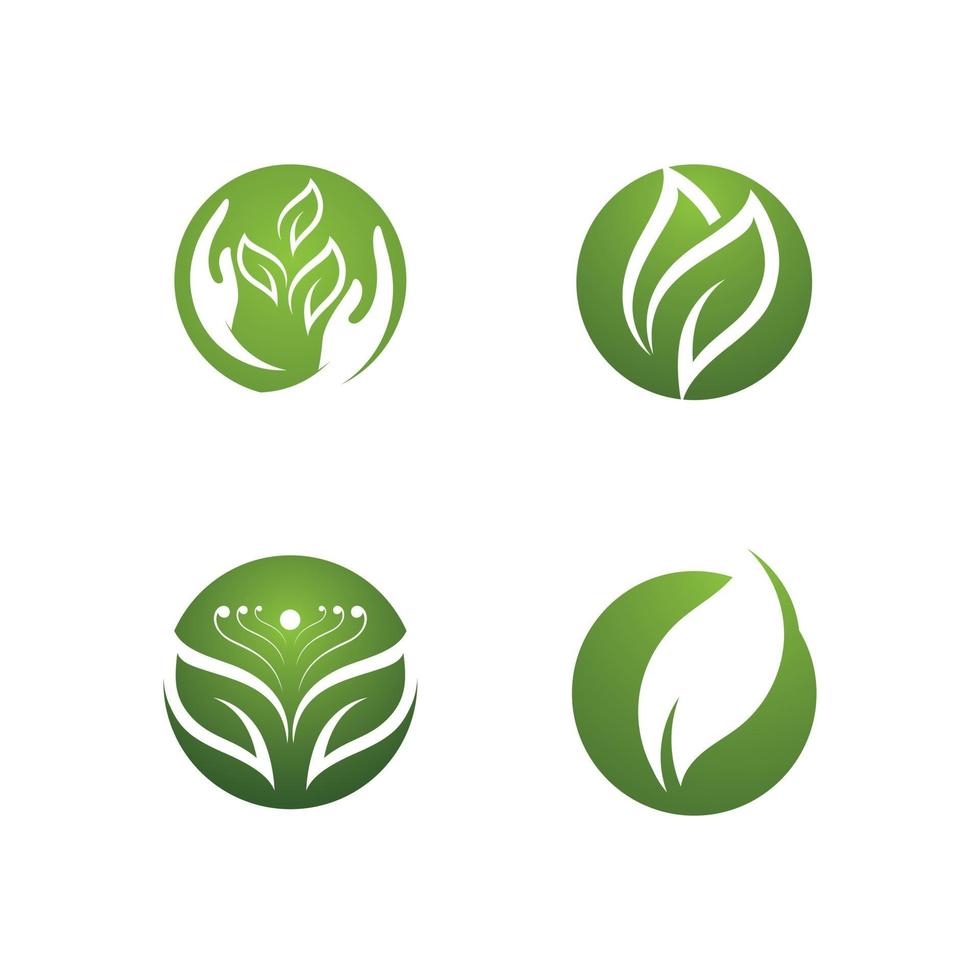 logotipos de la ecología de la hoja del árbol verde vector