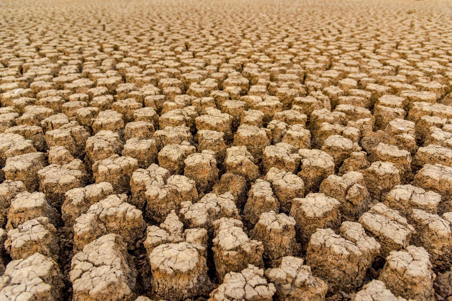 el concepto de sequía natural del medio ambiente en la tierra suelo seco, el suelo agrietado con erosión del suelo se vuelve rojo que no es agrícola foto