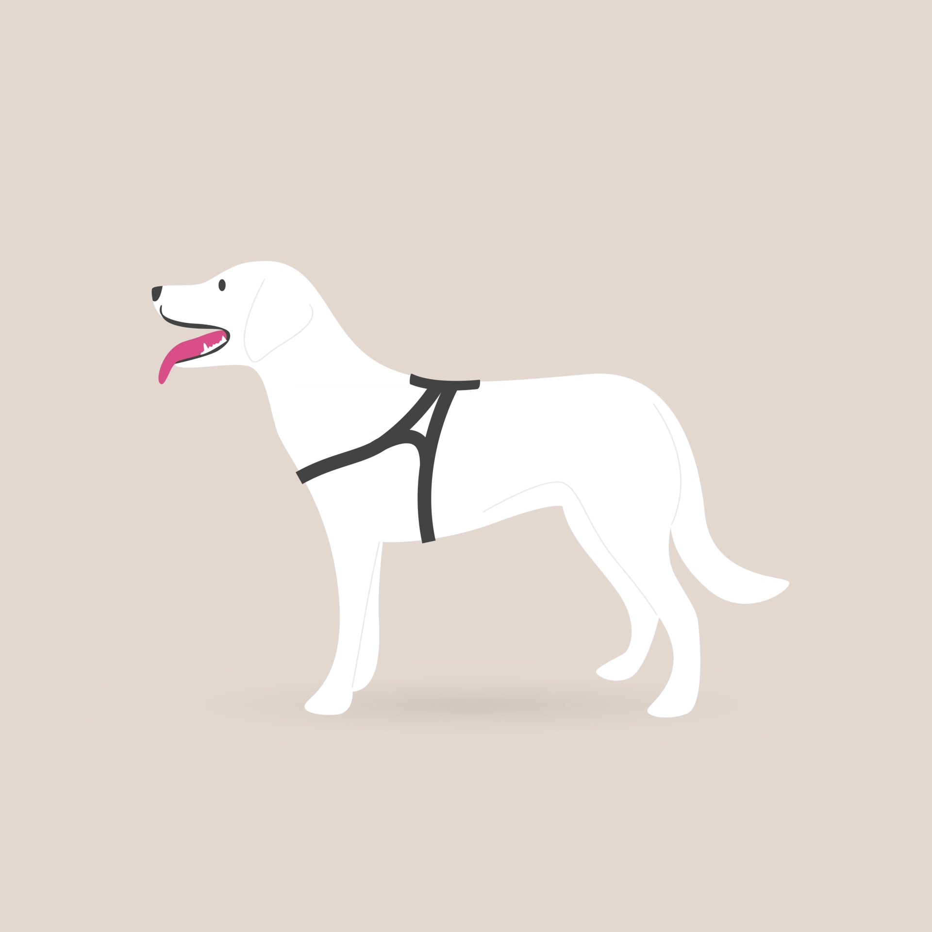 Dog with belt standing in a side view 2742462 Vector Art at Vecteezy