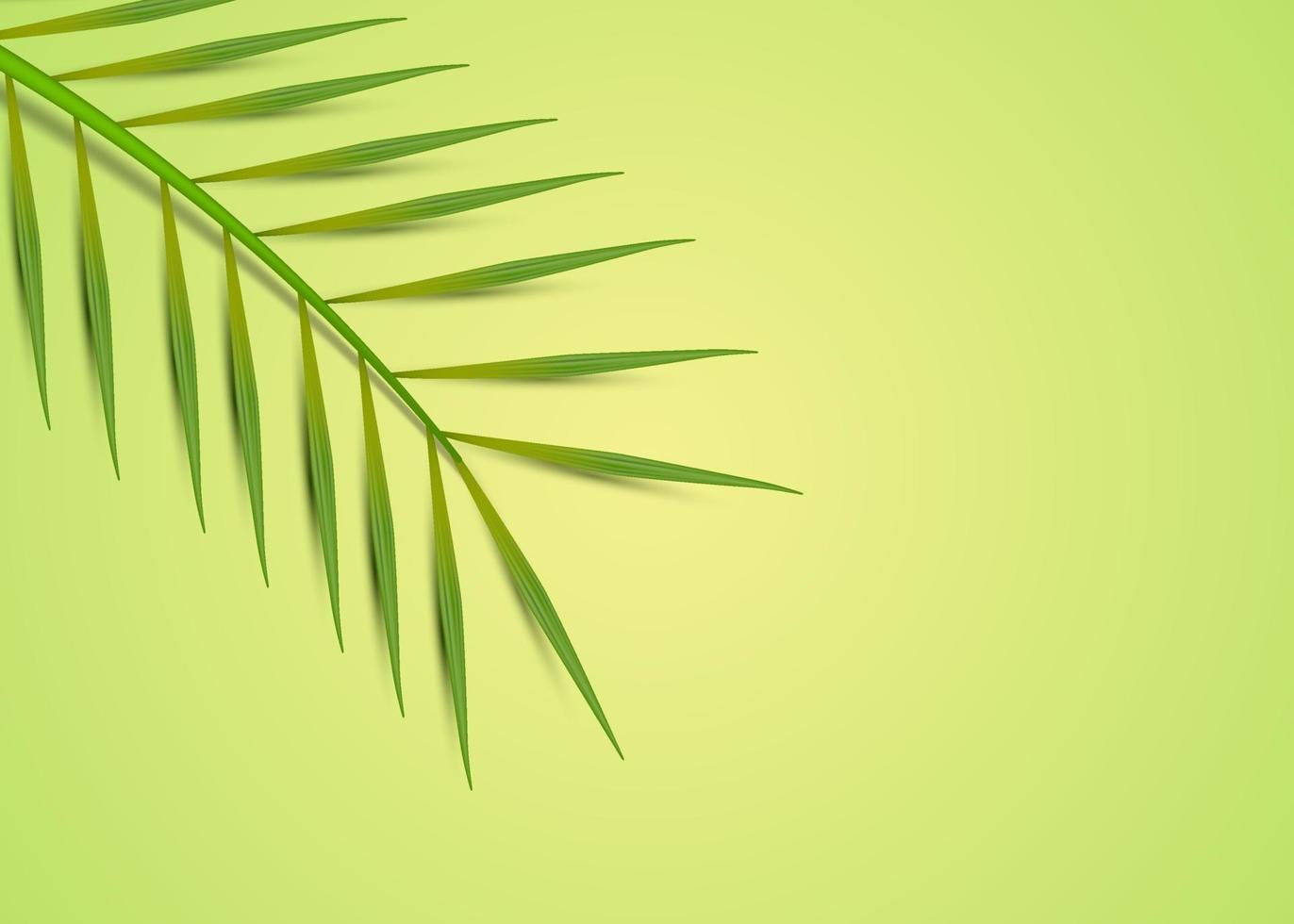 Tropical leaves minimal background vector