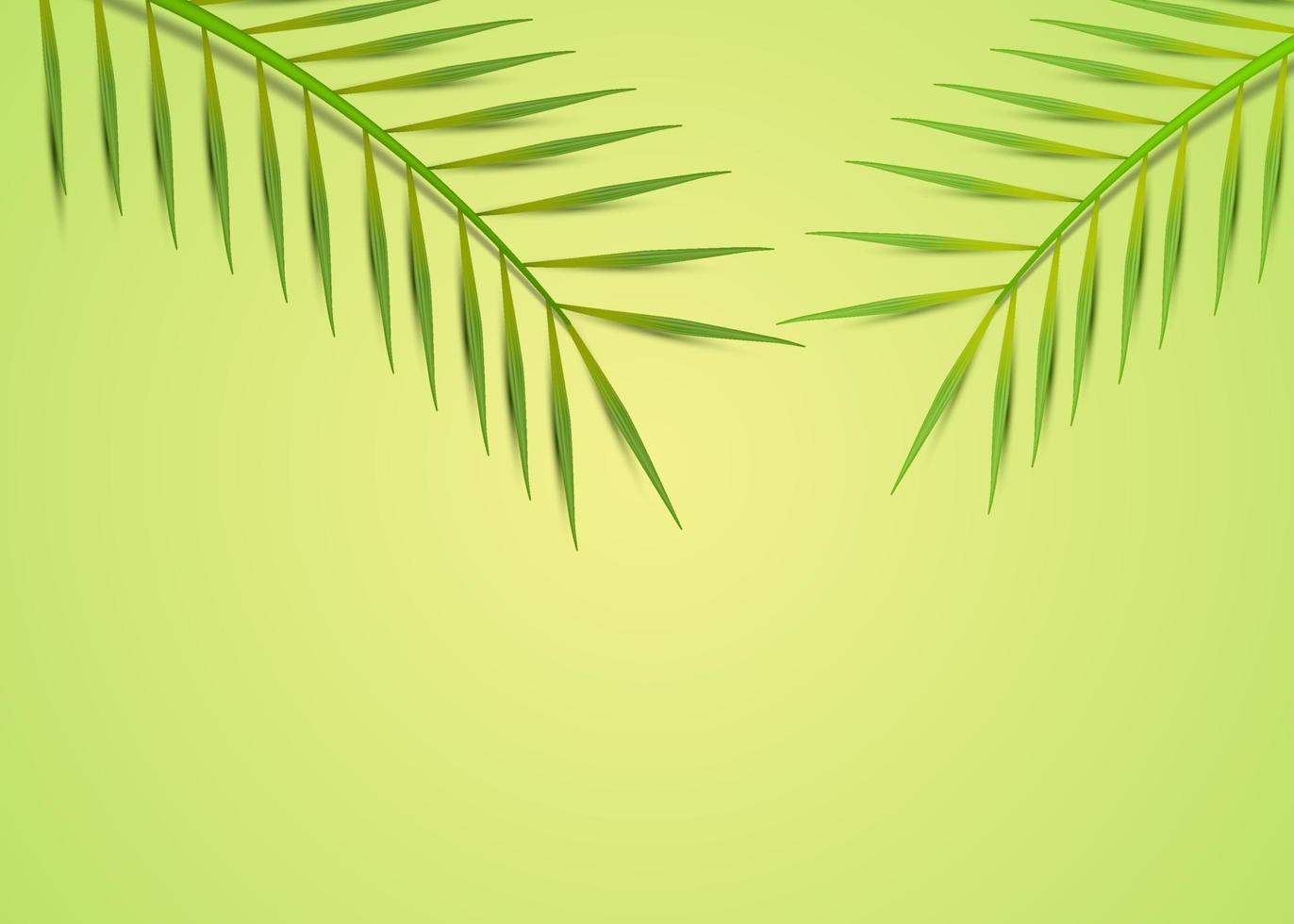 Tropical leaves minimal background vector