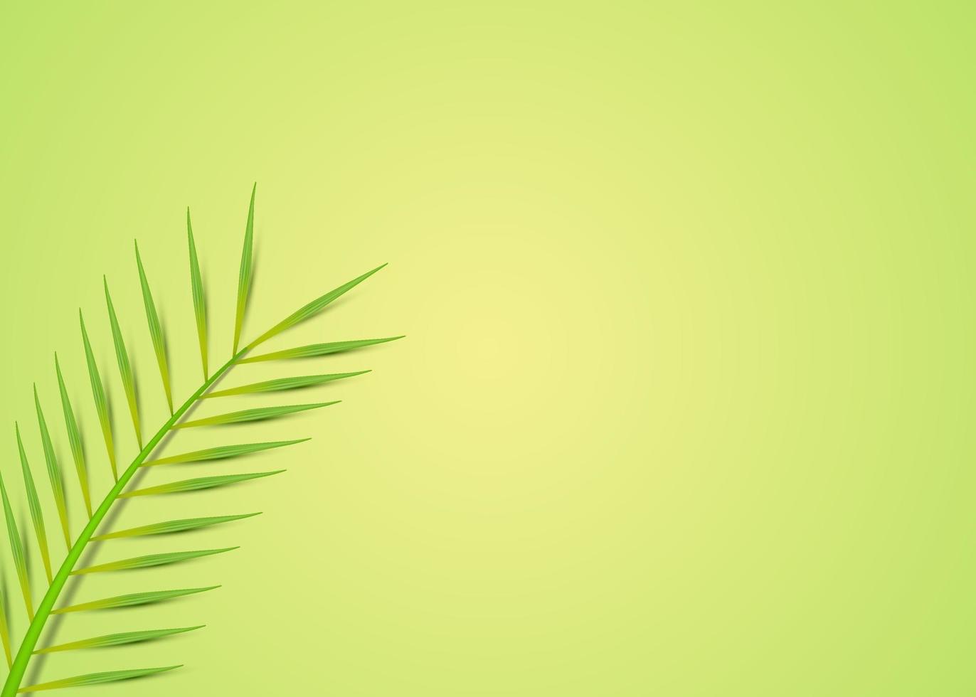 Tropical leaves minimal background vector