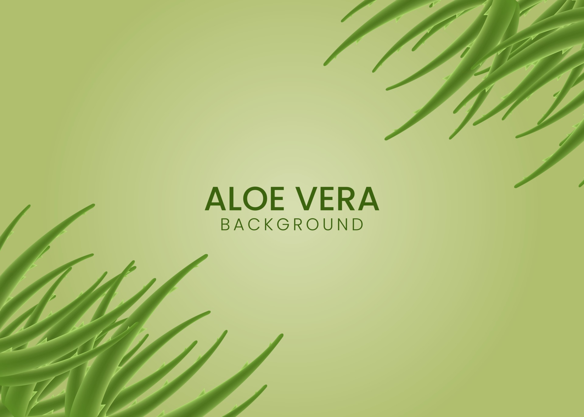 realistic illustration of aloe vera vector concept background 2743103