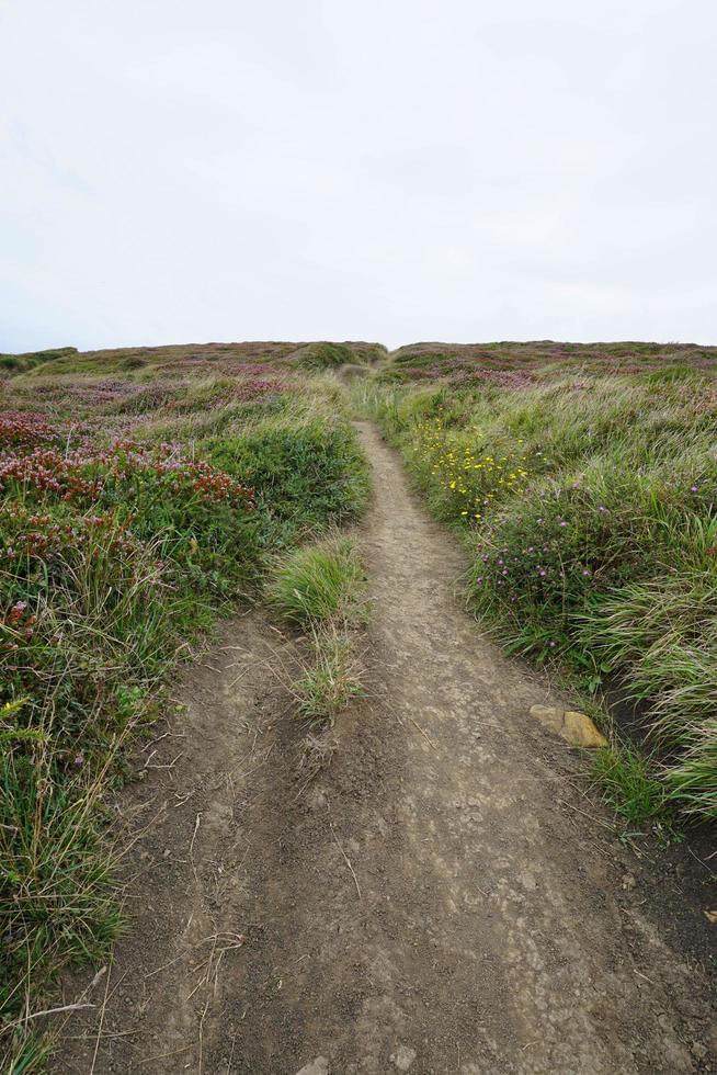 Path in the mountain horizon view, Bilbao Spain photo