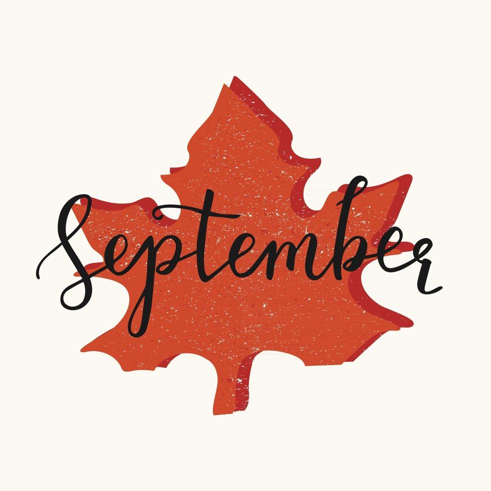 Hand drawn typography September with leaf. vector