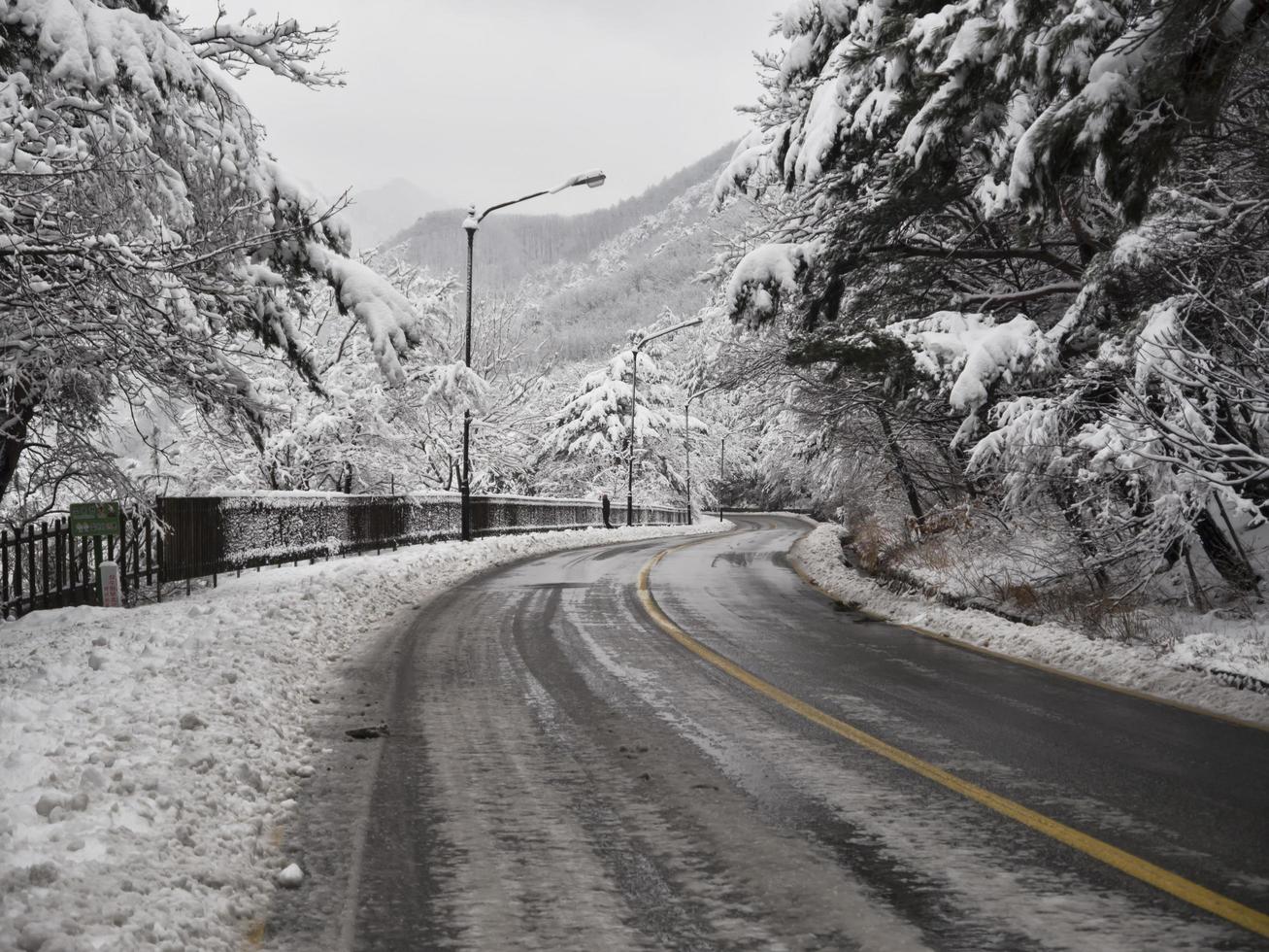 Snow-covered forest road in Seoraksan mountains. South Korea. photo