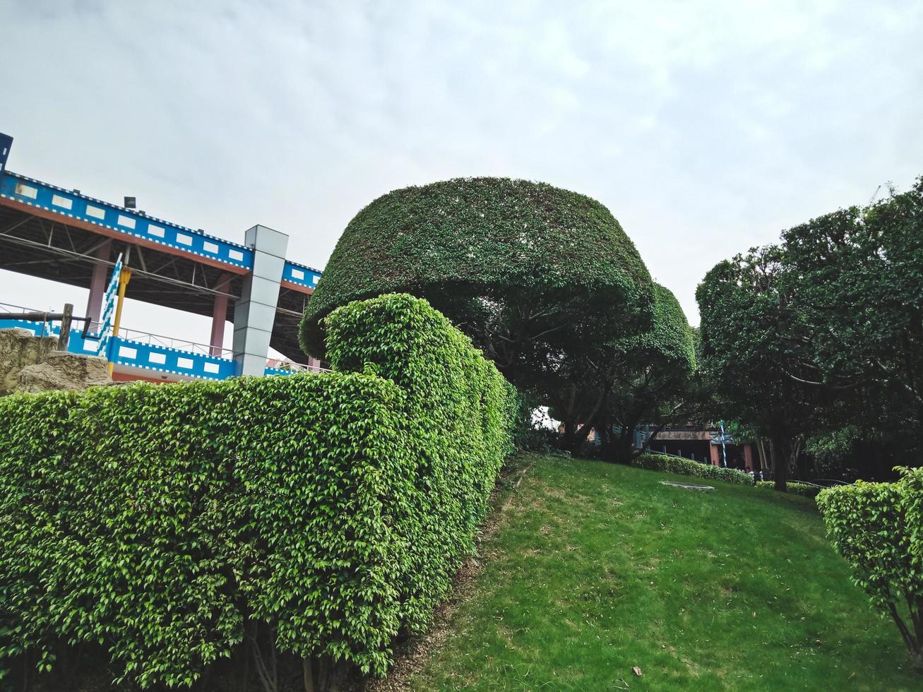 hermoso jardín verde en la ciudad de shenzhen, china foto