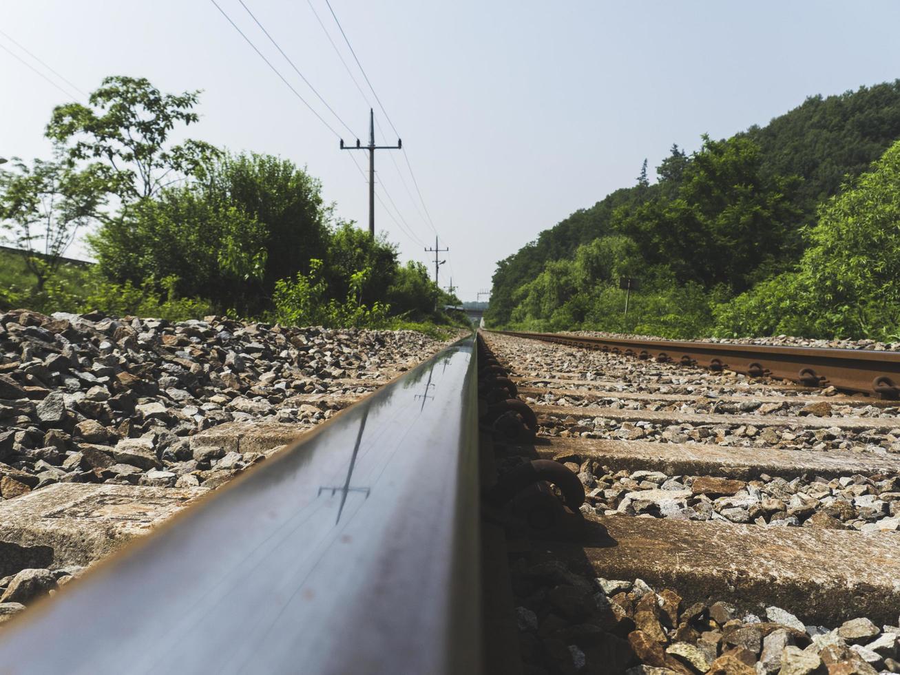 Railway tracks in the forest. South Korea photo