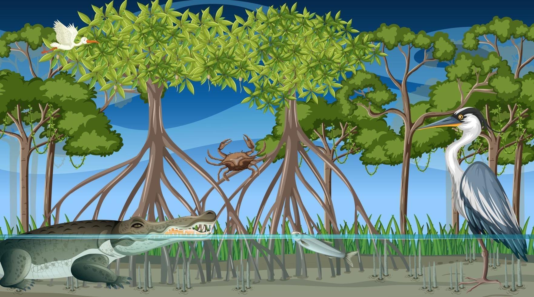 Los animales viven en el bosque de manglares en la escena nocturna. vector