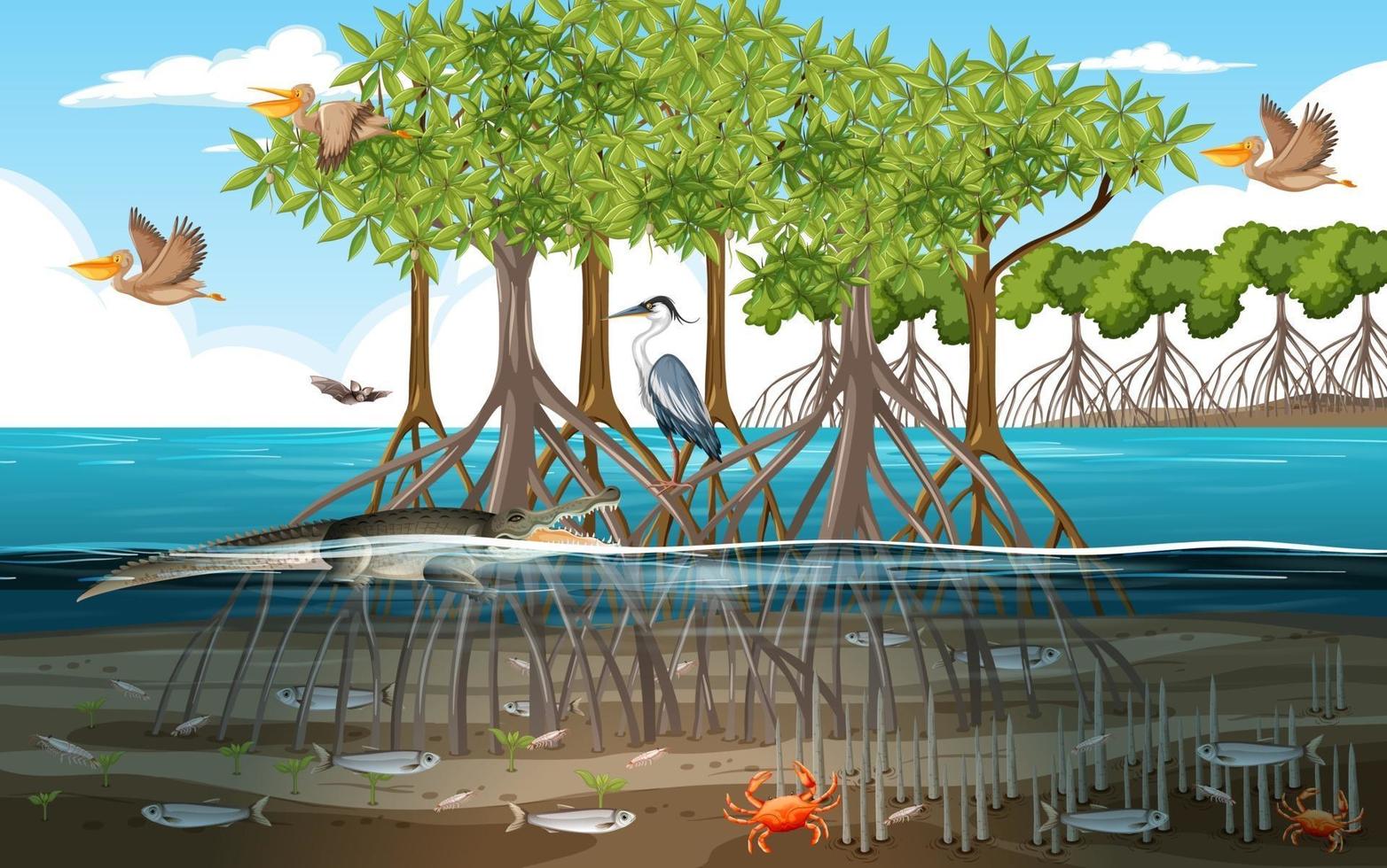 Mangrove forest scene at daytime with animals in the water vector