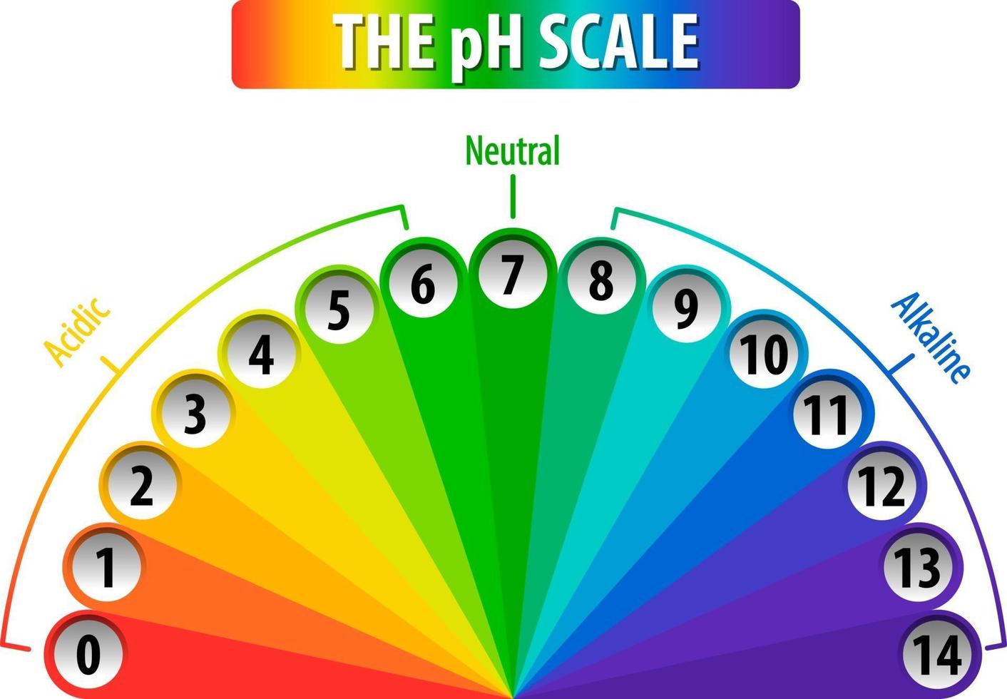 A pH scale on white background vector