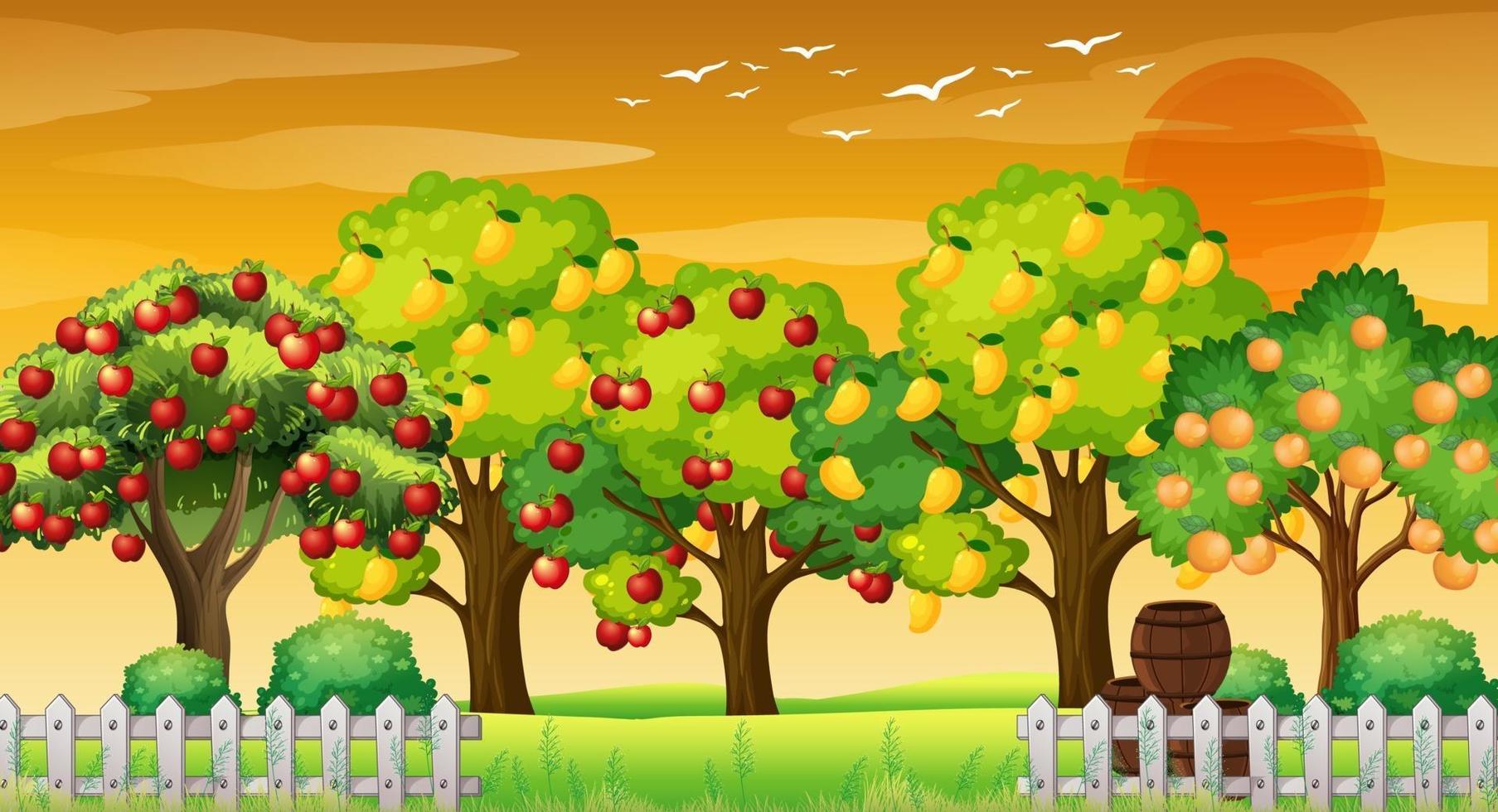 escena de la granja con muchos árboles frutales diferentes al atardecer vector