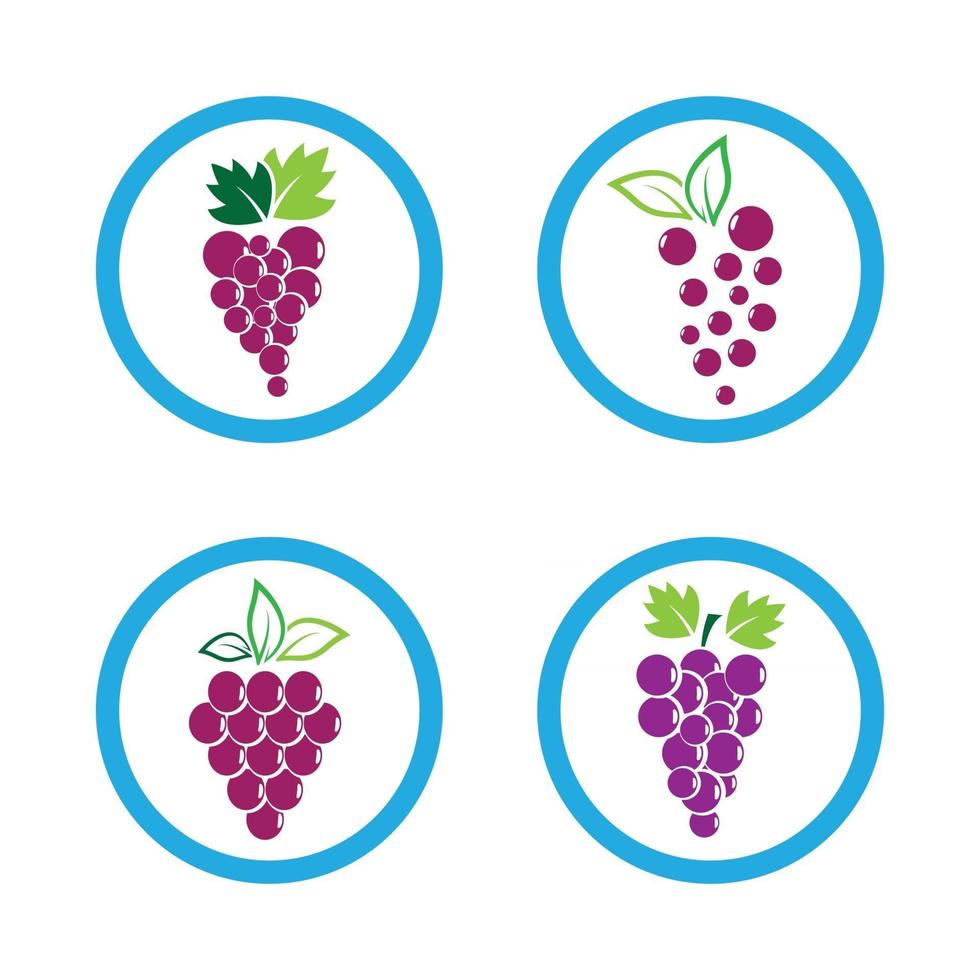 Grape logo images vector