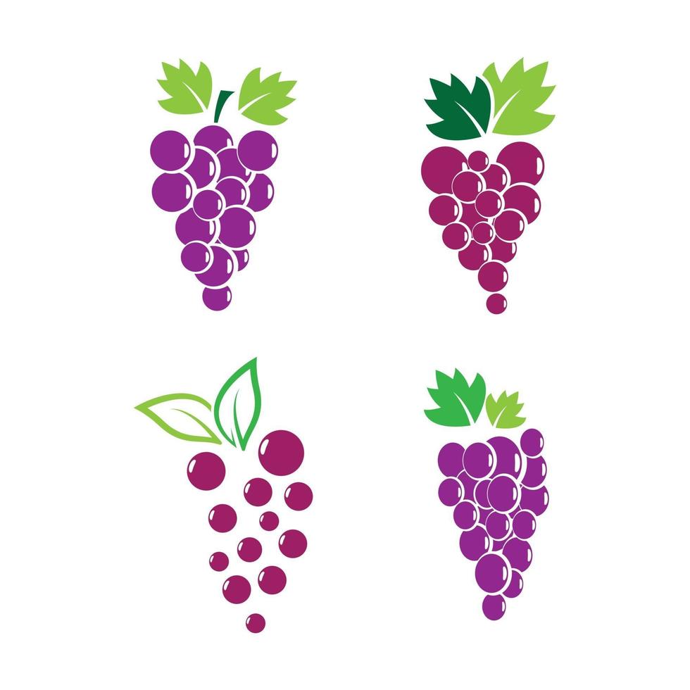 Grape logo images vector