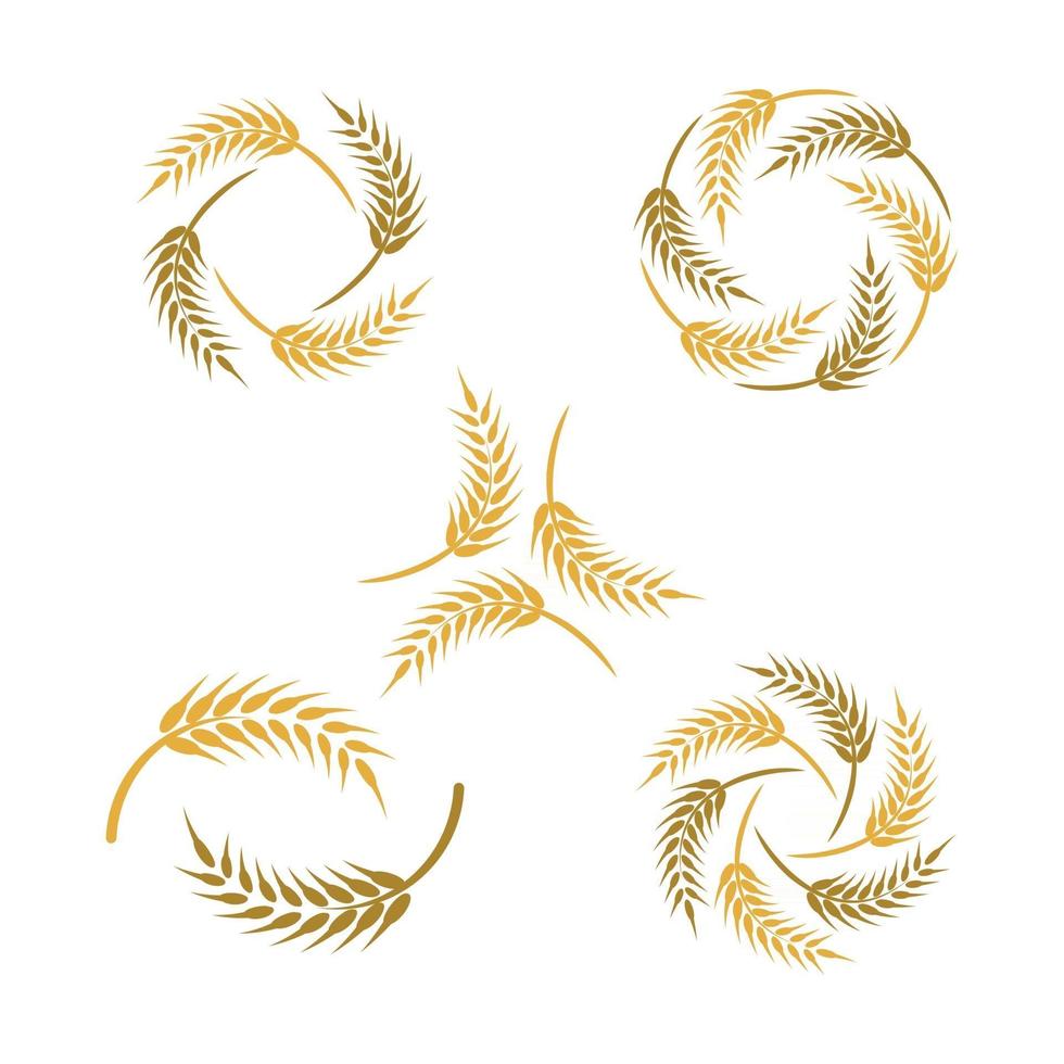 Wheat logo images vector