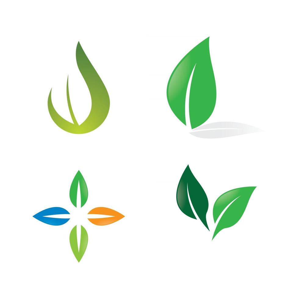 Leaf logo images vector