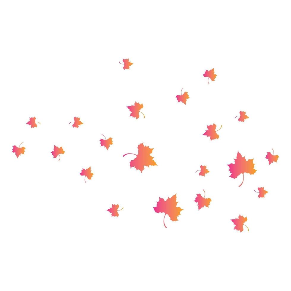 Maple leaf vector illustration