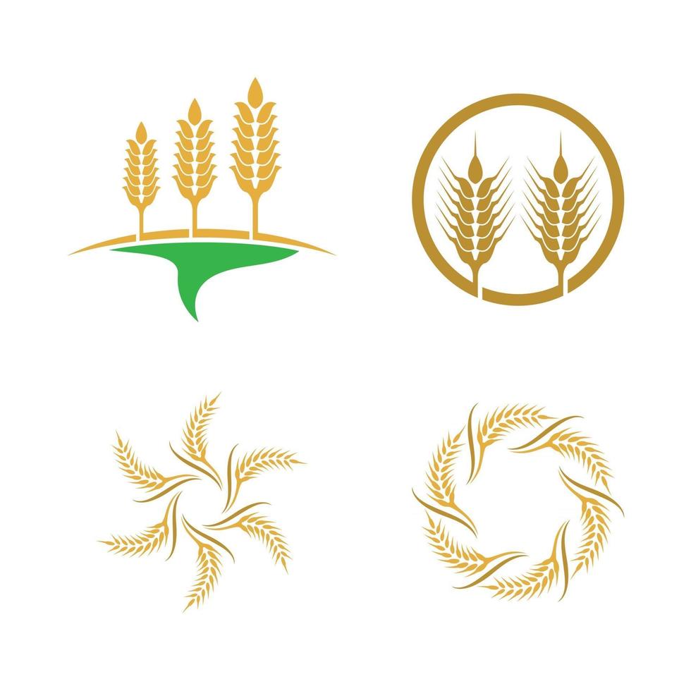 Wheat logo images vector