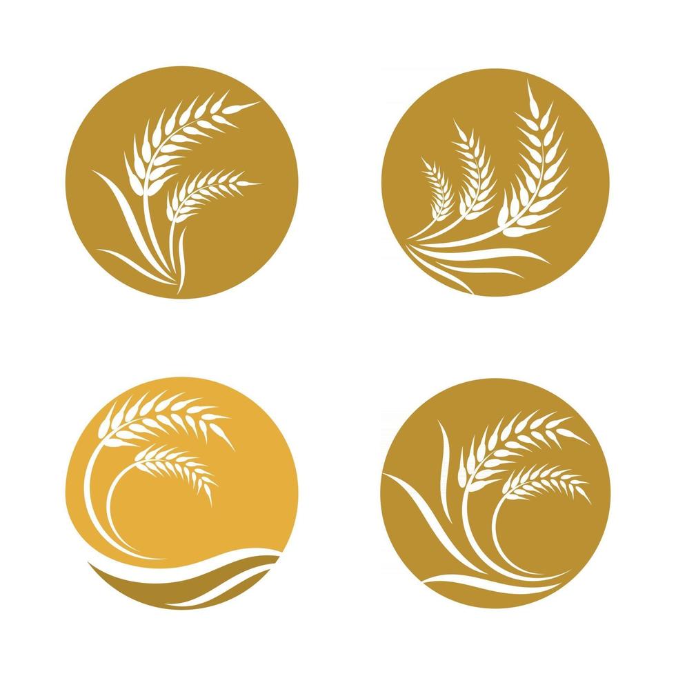 Wheat logo images vector