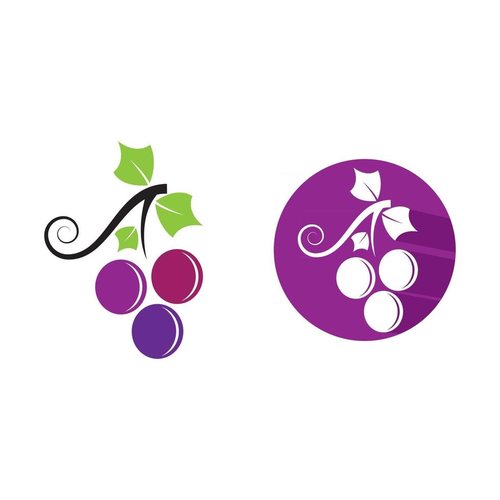 Grape logo images vector