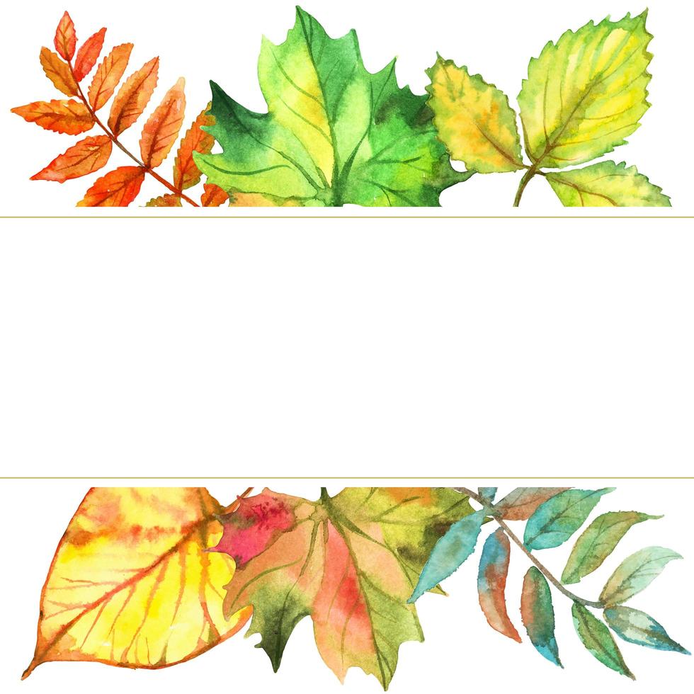 Frame of autumn leaves. Watercolor. Vector. vector