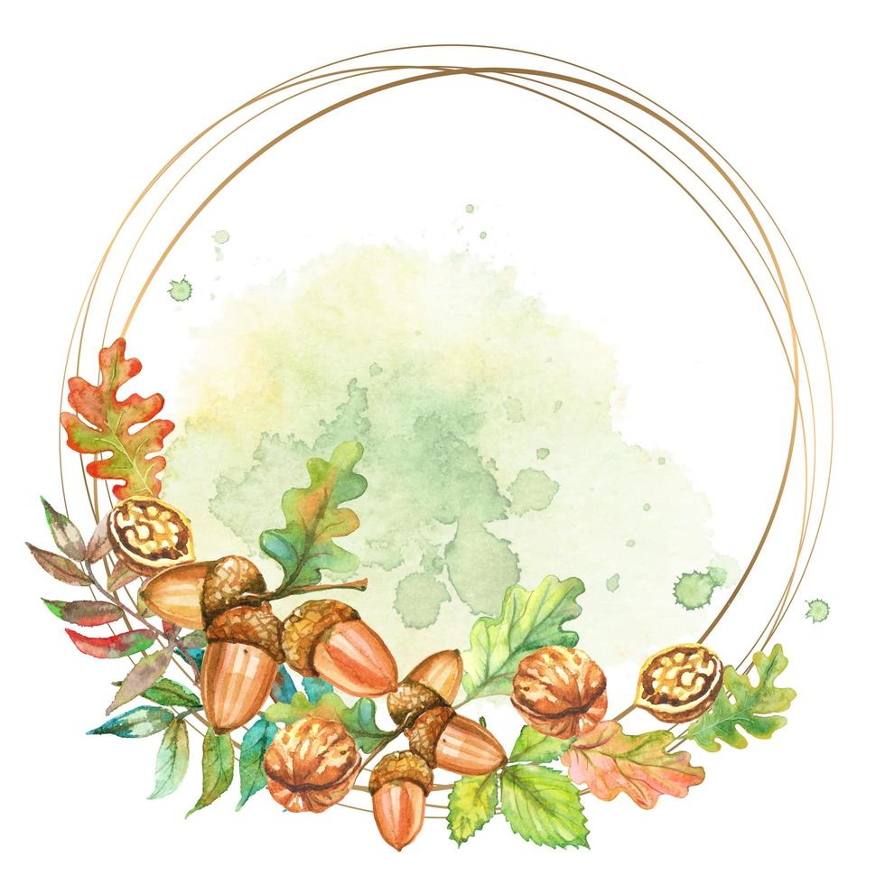 Round gold frame with walnuts and acorns. Watercolor. Vector