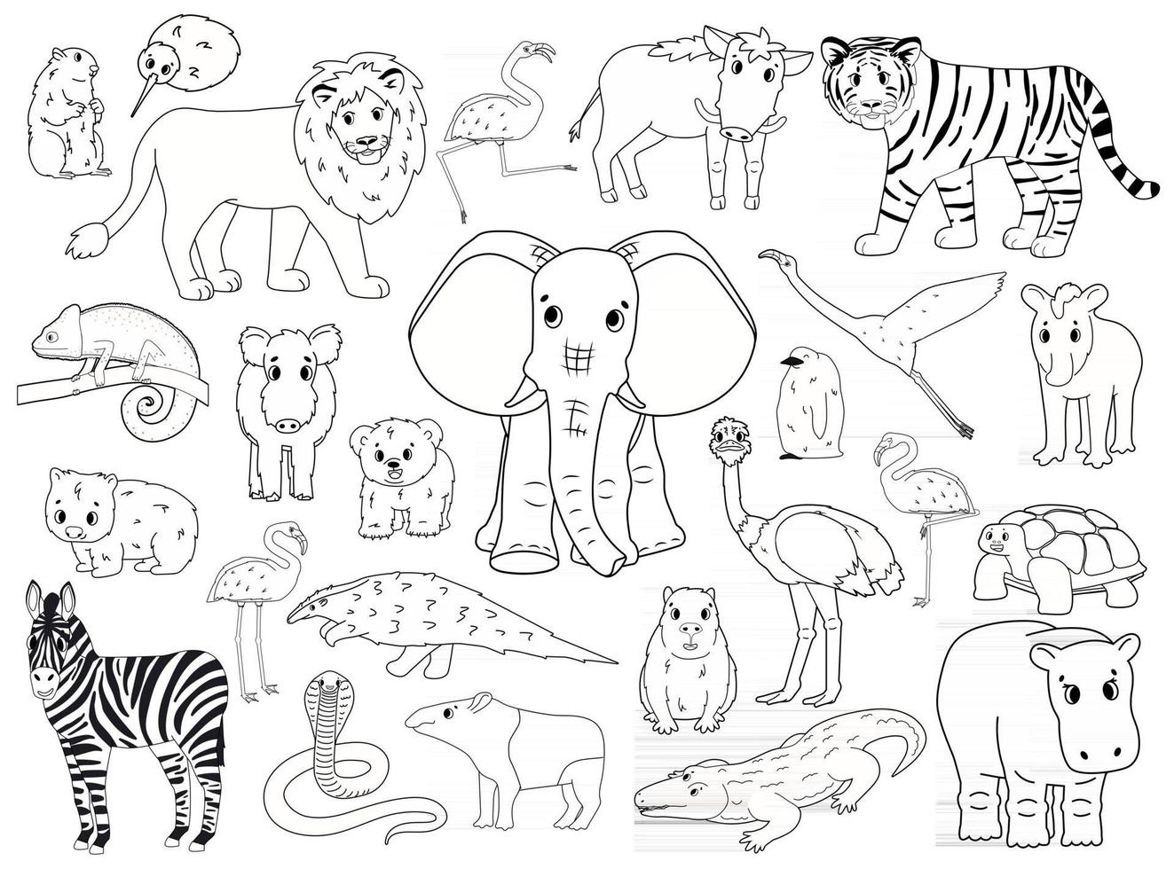 Set of doodle world animals. Vector outline cartoon isolated graphic hand drawn illustration. Elephant hippo zebra flamingo lion boar tapir penguin wombat bear marmot chameleon crocodile kiwi snake