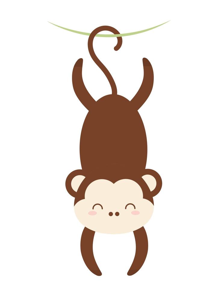 cute baby monkey vector