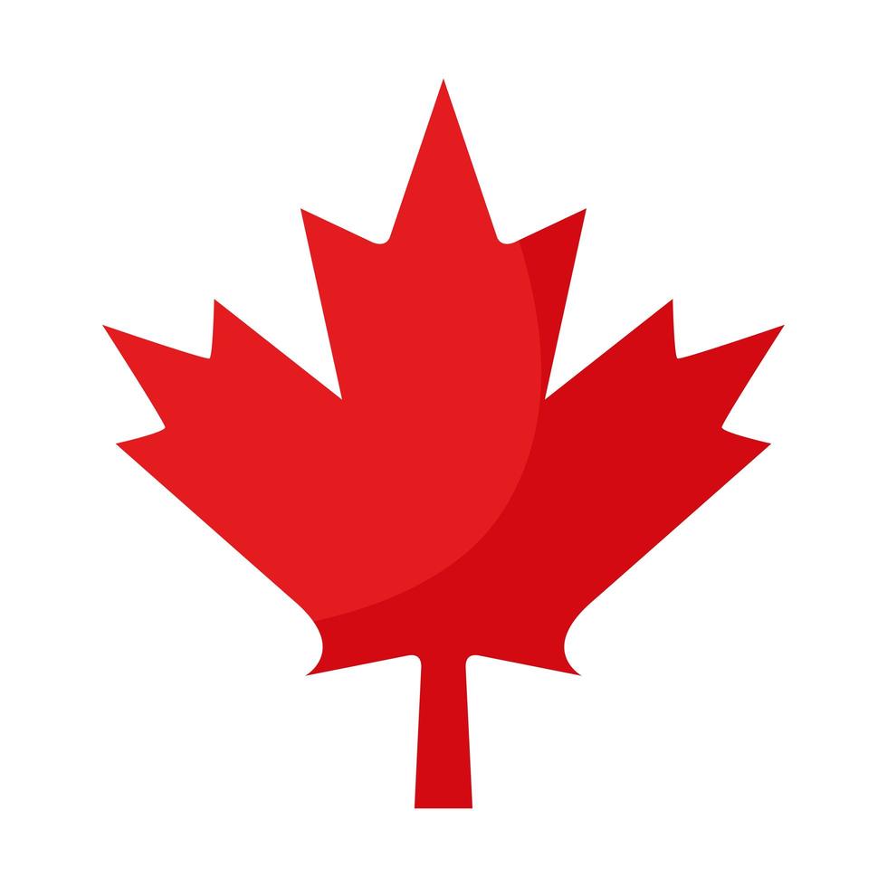 maple leaf design vector