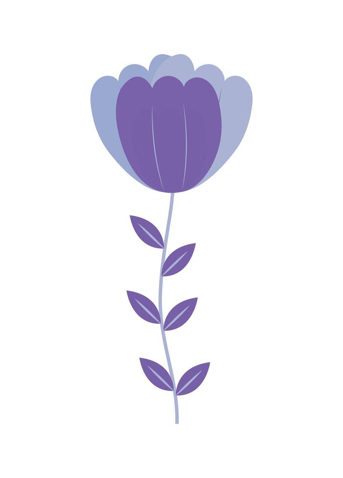 cute purple tulip vector