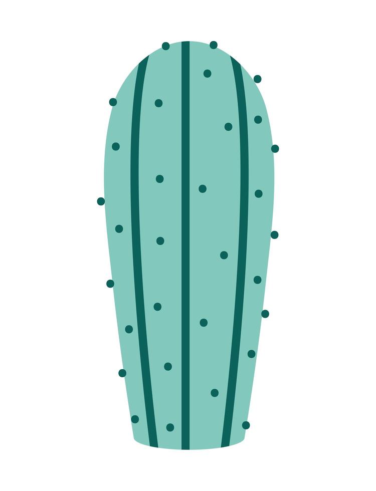 prickly cactus icon vector