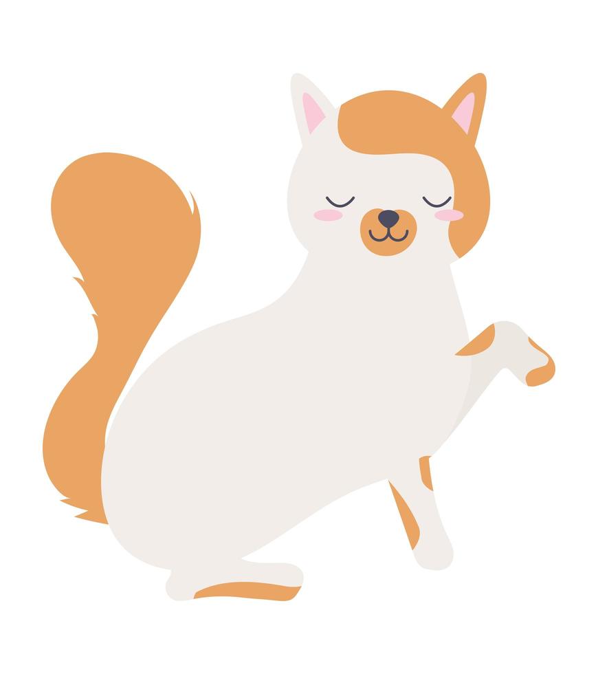 gato en pose vector