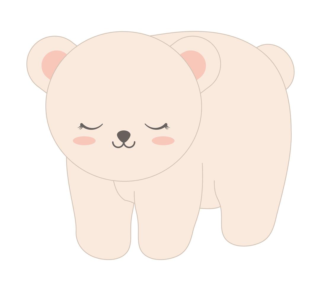 beautiful bear design vector