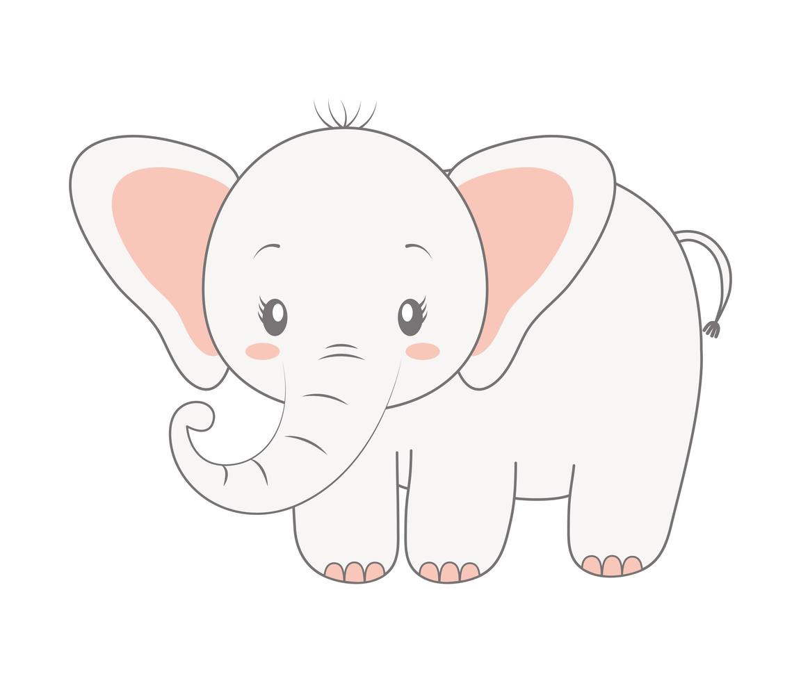 Ilustración de elefante bebé vector