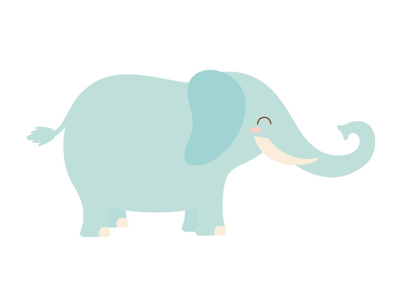 lindo elefante icono vector