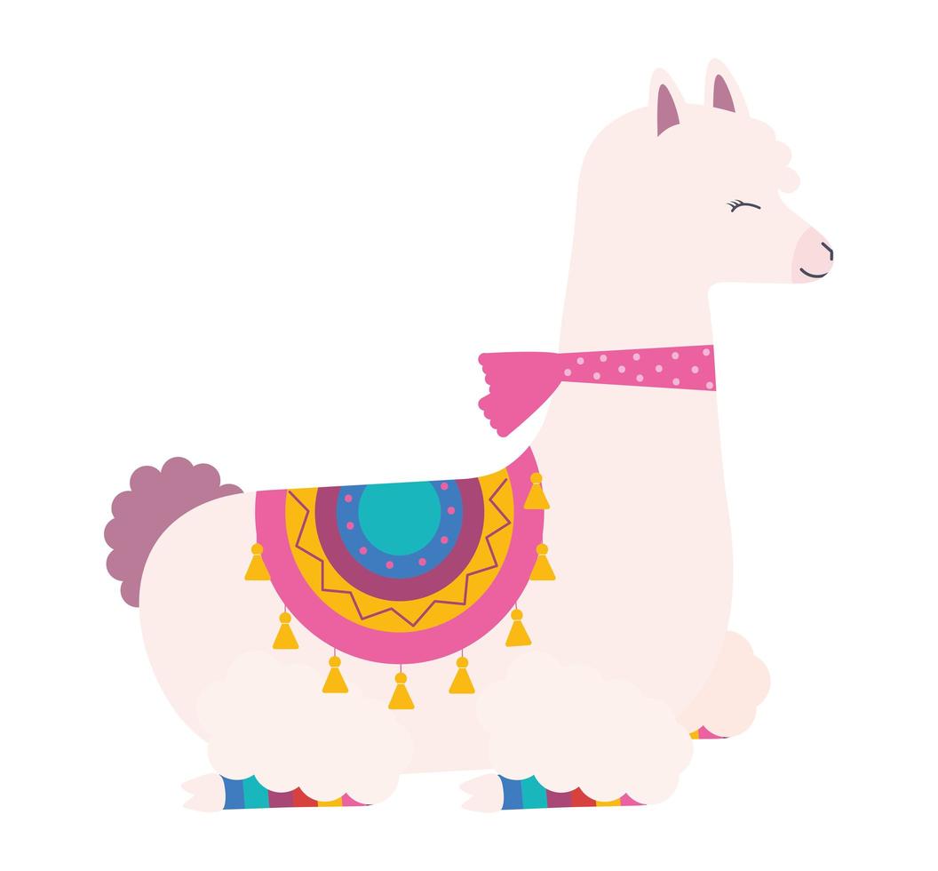 sweet llama illustration vector